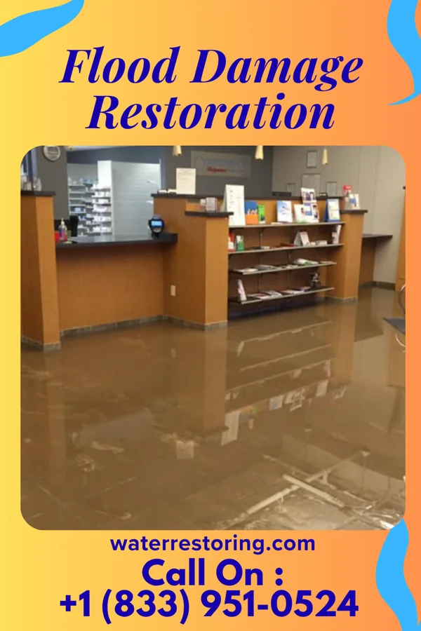 Flood Damage Restoration in Gordon, AL