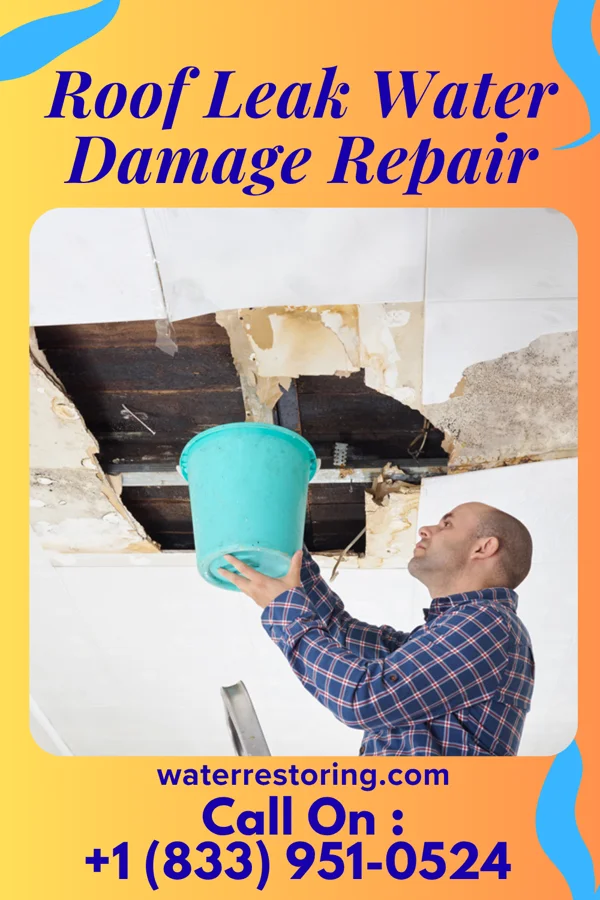 Roof Leak Water Damage Repair in Gordon, AL